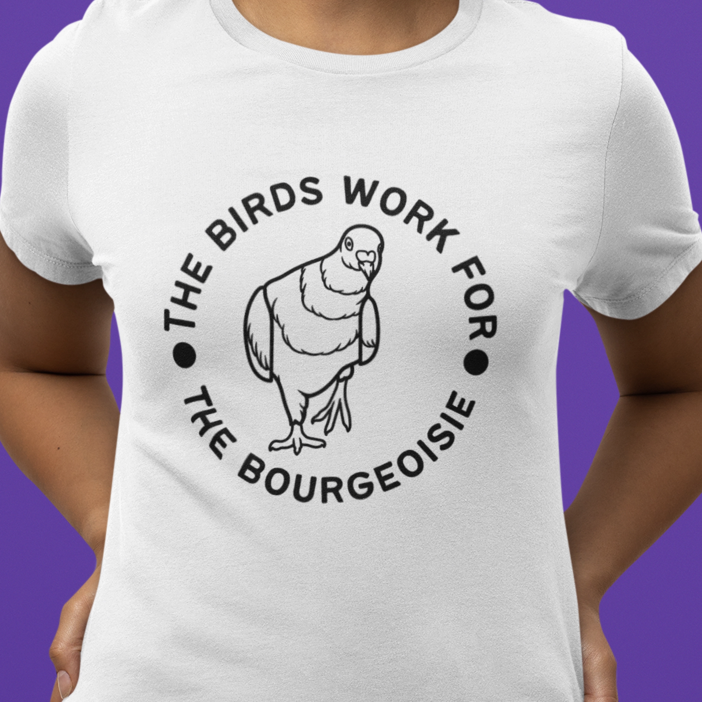 Minimalist "The birds work for the bourgeoisie" Unisex Heavy Cotton Tee